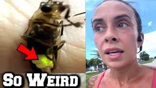Something Very Strange Is Going On All Across U.S.