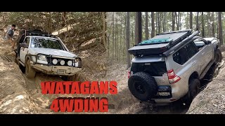 A DAY TRIP TO WATAGANS - CPT80 TRACK