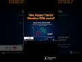 How Support Vector Machine- SVM works?