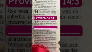 Provérbios 14:3 #proverbios #shorts #biblia