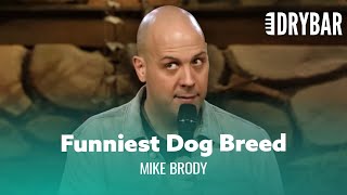 Never Mix A Wiener With A Golden Retriever. Mike Brody - Full Special