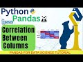 Python Pandas Tutorial   What is Correlation   Correlation Matrix and Plot in Python