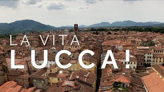 Best day trip from Florence - Lucca!