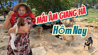 Các Bé có 1 mái che mừng lắm  cả nhà ơi