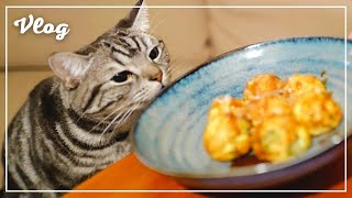 妻を労うためタコ焼きを焼いていたら、愛猫がこうなりましたw / おせちアレンジ「伊達巻ラスクと黒豆蒸しパン」【猫とホットプレートごはん】