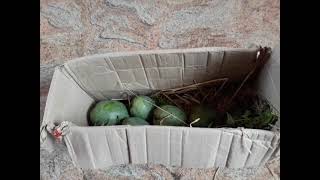 இயற்கை முறையில் மாம்பழம் பழுக்க வைக்கும் முறை.how to ripen a mango natural way #summer#mango#natural