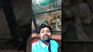 #Bangalore #Bannerghatta Zoo (Biological Park)