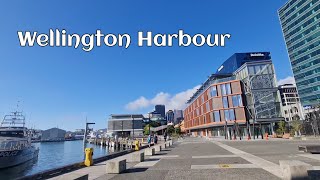 New Zealand's Most Beautiful Port: Wellington Harbour