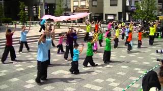 JR東　臥鷲桜（30日）（バサラ祭り２０１４）