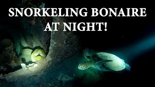 Snorkeling Bonaire at Night!