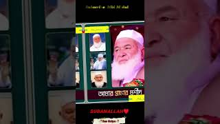 সুবহানাল্লাহ নবীজির বংশধরগুলো♥️ #shorts #viral #islamicstatus #trending #subscribe #ytshorts #islam