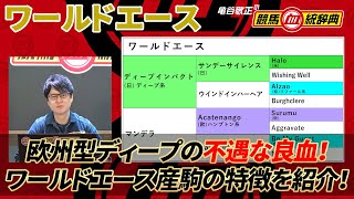 【ワールドエース】 欧州型ディープの不遇な良血も、非常に美味しい種牡馬！