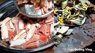 Cách Chế Biến 5  Món Ngon Từ Thịt Rắn II Cùng Vào Bếp Với Lạc Đường Vlog