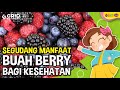 Mengenal Manfaat Buah Berry Bagi Kesehatan, Seperti Raspberry, Strawberry