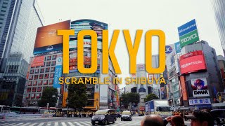 🇯🇵 Scramble in Shibuya (Japan 2024 Day 2) [Tokyo,Japan]