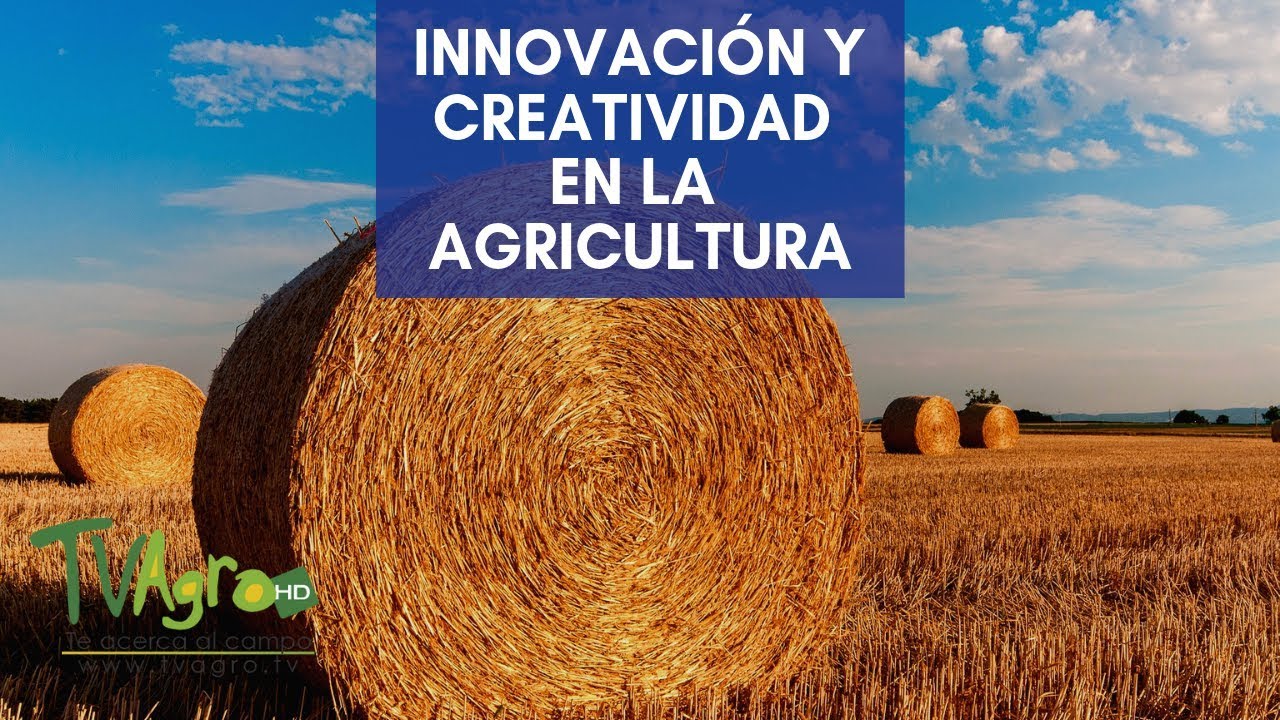 Innovación Y Creatividad En La Agricultura - TvAgro Por Juan Gonzalo ...