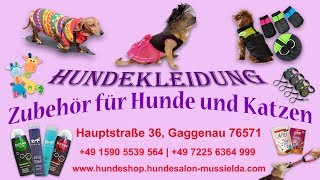 Hundeshop-Hundesalon Mußielda in Gaggenau