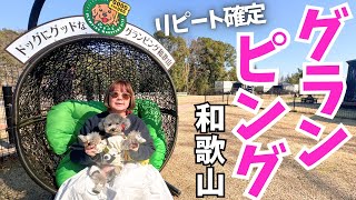 【愛犬と旅行】究極のグランピング体験！ドッグランの中にグランピングが最高すぎた！【ドッグにグッドなグランピング和歌山北】