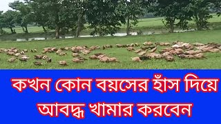 কখন আবদ্ধ খামার করার উত্তম সময় | হাঁসের পুষ্টিকর খাবার | ডিমের হাঁসের খাবার | আবদ্ধ হাঁস পালন