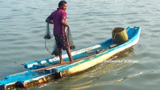 traditional Castnet Fishing in the river | Village fishing | mullet fish catching videos