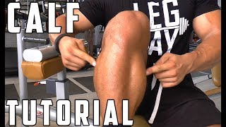 GROW Those Calves with these Exercises - Tutorial and Tips