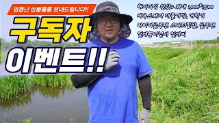 붕어낚시 유튜버 구독자 이벤트 스케일 ㄷㄷ