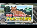 【planet zoo】dlcでアルマジロがプラネットズーに登場！？無料アップデートの内容にも触れます！【プラネットズーで動物園を作ろう！ 11】