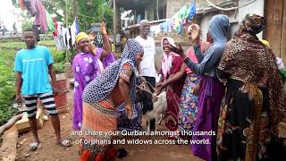 Your £25 Qurbani Brings Joy | ORPHANS IN NEED