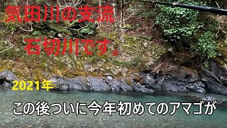 天竜川水系気田川アマゴ釣り2021年3月8日石切川