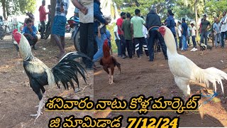 శనివారం నాటు కోళ్ల మార్కెట్ జి మామిడాడ  || Kollamarket # Murga market# 07.12.24