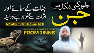 Jinnat Ki Shakal ? | Jinnat Se Bachne Ka Wazifa | Hifazat Ka Wazifa | Maulana Ilyas Qadri