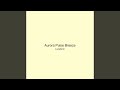 Aurora Pulse Breeze