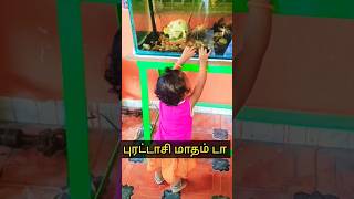 வேற வழி தெரியலை ஆத்தா #cutebaby #புரட்டாசிமாதம் #shorts #trending