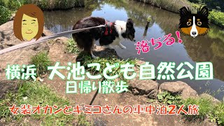 横浜　大池こども自然公園でお散歩♪