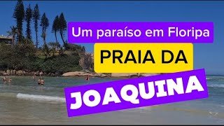 Conheça esse paraíso chamado Praia da Joaquina 🏖️ Florianópolis/SC 👙 Brasil ⛵