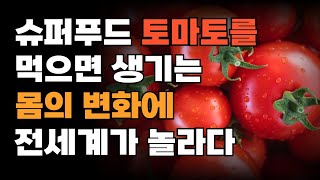 토마토의 놀라운 효능 부작용 라이코펜의 효과 등