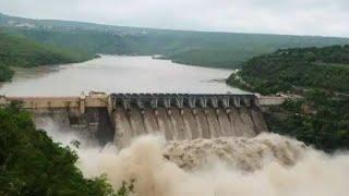 যে কারণে ভারকে আমাদের অবশ্যই ইলিশ মাছ দেওয়া উচিত।