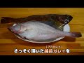 【底曳網漁解禁】ヒラメの刺身よりウマい！と漁師達が口をそろえて言う魚の正体はまさかの○○○だった！【越前漁港の漁師達】