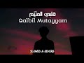 Qalbil mutay slowed and reverb | meher zain | lofi nasheed | lofi | nasheed