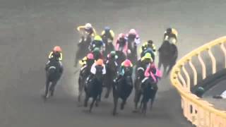 2015.11.08 Ginrei Stakes (JPN) - Anzuchan