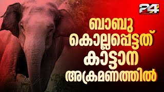 തിരുവനന്തപുരം പാലോട് വനത്തിനുള്ളിൽ ബാബു കൊല്ലപ്പെട്ടത് കാട്ടാന ആക്രമണത്തിലെന്ന് സ്ഥിരീകരണം