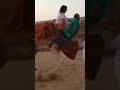 titanic camel fail