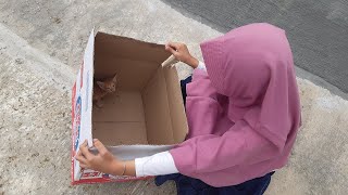 Novelian Menyelamatkan Anak Kucing yang Terjebak di Tumpukan Bambu