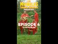 LES WRIGGLES TOURNEE GENERALE ! EP 4 feat. @Aymericlompret