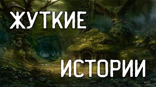 СТРАШНЫЕ ИСТОРИИ НА НОЧЬ / СТРАШНЫЕ ИСТОРИИ ПРО ДЕРЕВНЮ / СТРАШНЫЕ ИСТОРИИ ПРО ВЕДЬМ