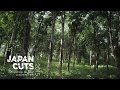 Out of My Hand - Japan Cuts 2015