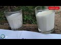 why you should not drink raw milk can we drink raw milk without boiling raw milk vs warm milk