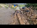 how to build a dry stone wall. part 1 laying the foundation.