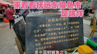 祖国最东端的抚远市，东极鱼市都有限啥鱼？内地极少见这么大鱼