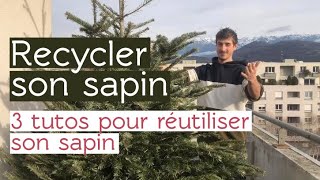 RECYCLER SON SAPIN - 3 DIY pour transformer son sapin de Noël 🎄